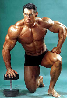 Всё для новичков