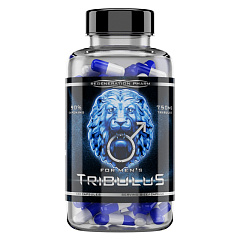 Reg Pharm Tribulus 90% Saponins, 90 капс